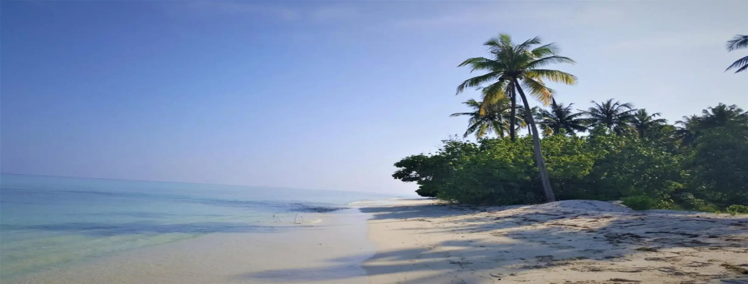 Image for Island Explorations